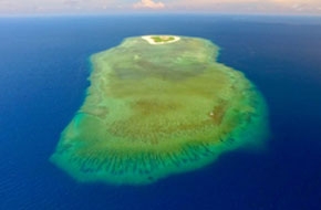 Küzdelem a Nagy-korallzátony megmentéséért